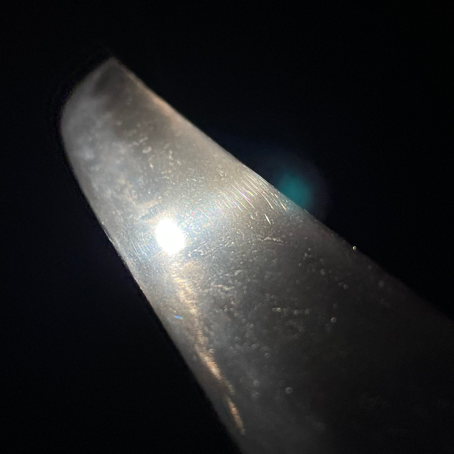 Frog and Snake Fittings TANTO, Hotei Kozuka, Insect Tsuba, Edo period mumei