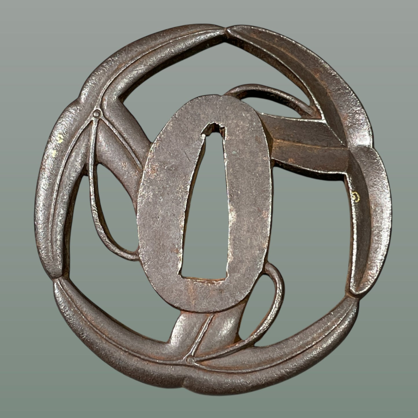 Omodaka Sukashi Thick TSUBA 沢潟透鍔, Edo period, Iron back, With BOX