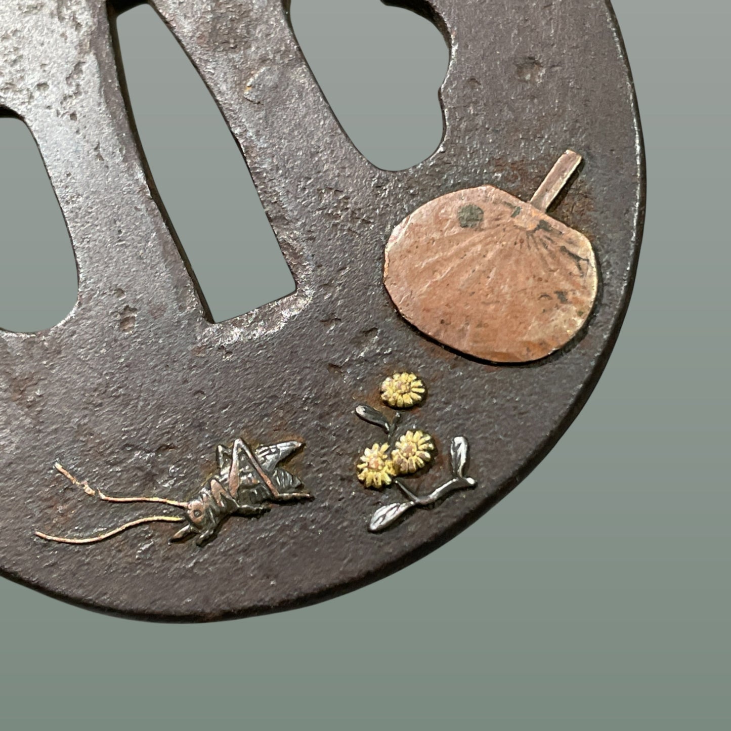 Uchiwa and Bell cricket TSUBA, Edo period, Iron back, with BOX