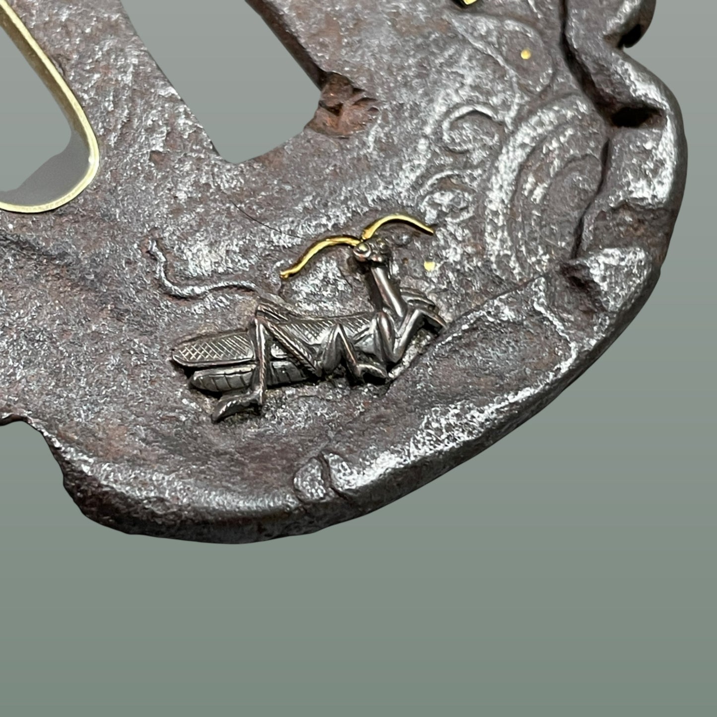 Mantis and Snail TSUBA, Nobuie 信家 signed, Edo period, Iron back, with BOX