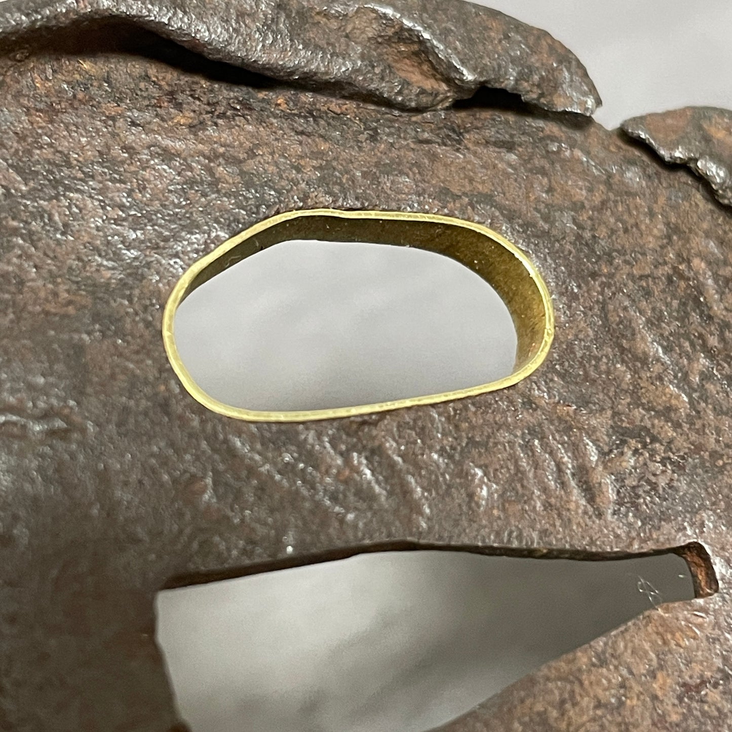 Mantis and Snail TSUBA, Nobuie 信家 signed, Edo period, Iron back, with BOX