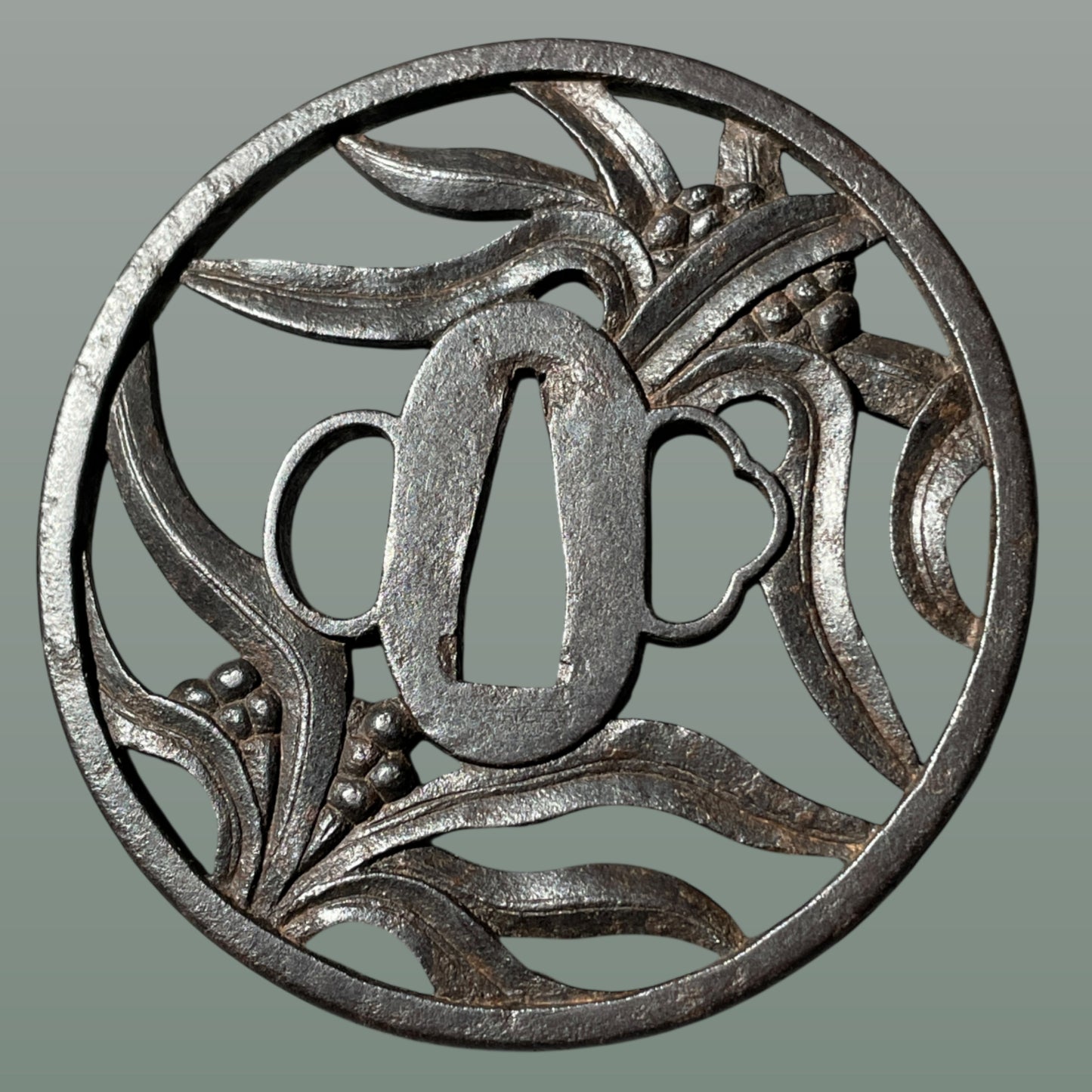 Omoto(万年青), Nippon lily Large TSUBA, Iron back, Edo period, with BOX