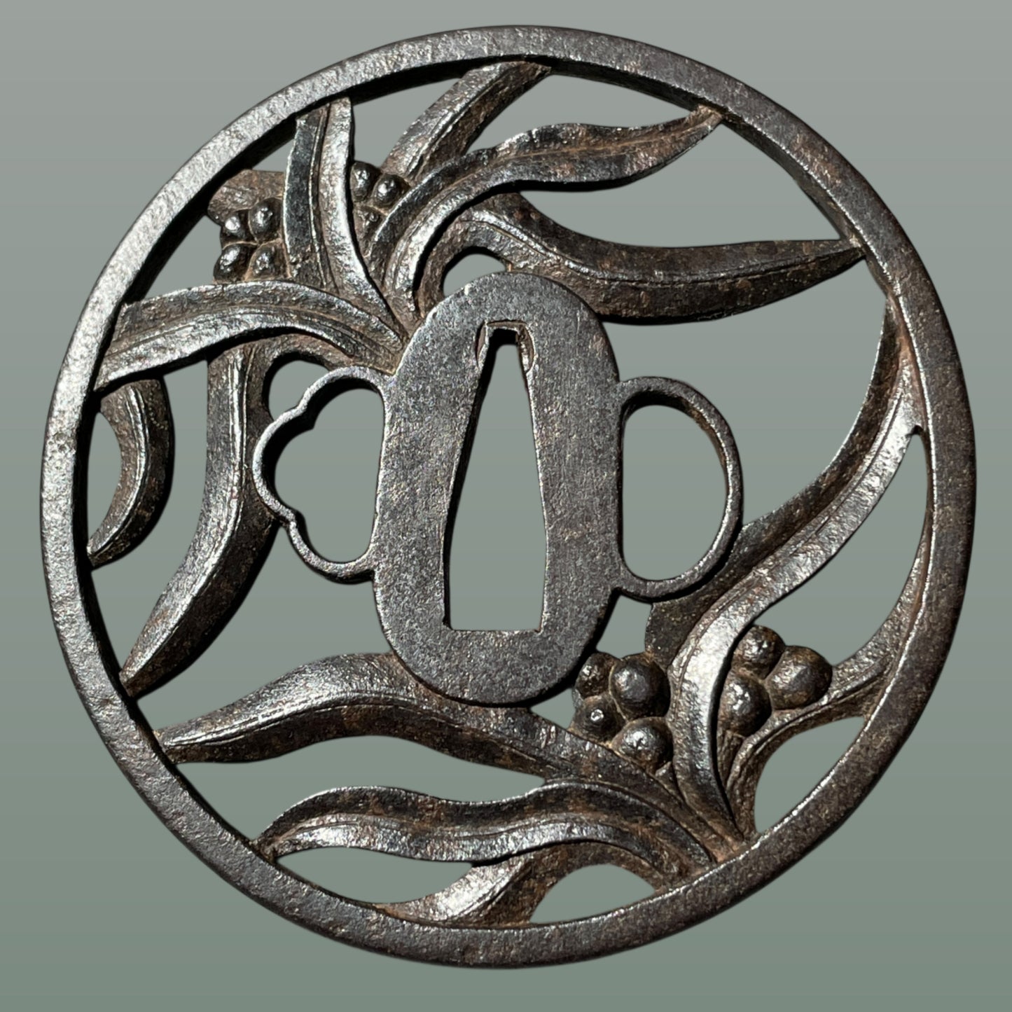 Omoto(万年青), Nippon lily Large TSUBA, Iron back, Edo period, with BOX