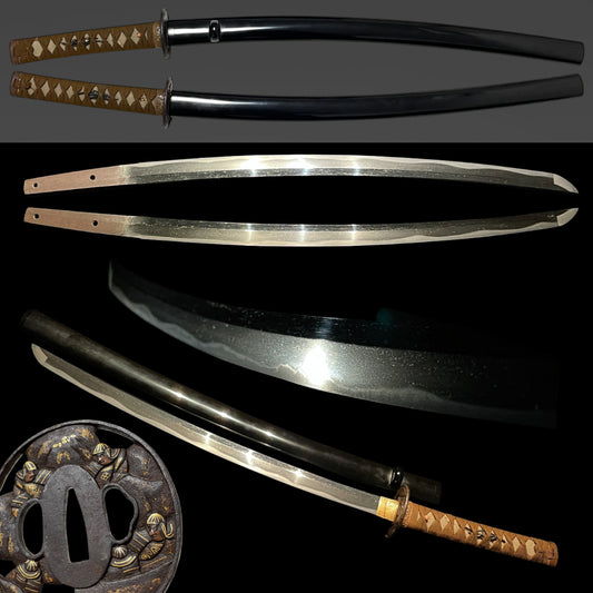 Soten-Tsuba 宗典鍔 Wakizashi, Paulownia Fuchikashira, Edo period mumei