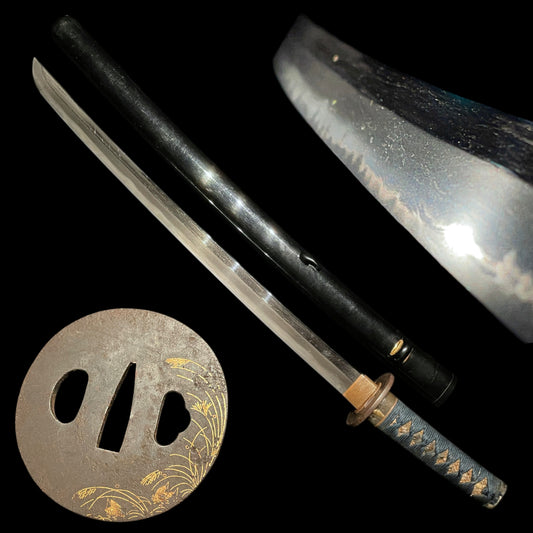 Black Wakizashi, Japanese pampas grass Tsuba, Edo period mumei