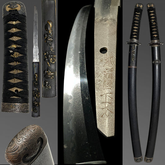 Dragon Fittings, Handachi Koshirae Waizashi, Echizenkoku Shimosaka 越前国下坂 signed
