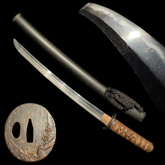Plum Tsuba Short Wakizashi, Butterfly Fuchi, Edo period mumei