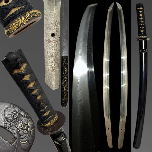 Harimadaijo Tadakuni 播磨大掾忠國 signed Wakizashi, Dragon Fuchi, Hotei Tsuba, Edo period