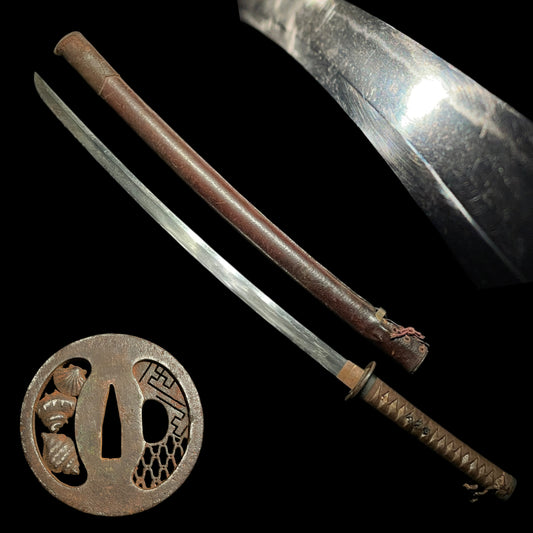 Ryakushiki GUNTO 略式軍刀, Shell Tsuba and Dragon Menuki