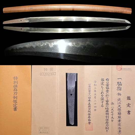 TOKUBETSU-HOZON, Aizu Kanesada 会津兼定, Omidaijo Kanesada 近江大掾藤原兼定 signed Wakizashi