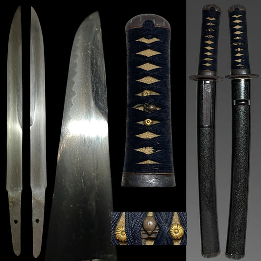 Unokubizukuri 鵜首造 TANTO, Insect menuki, Late Edo period mumei