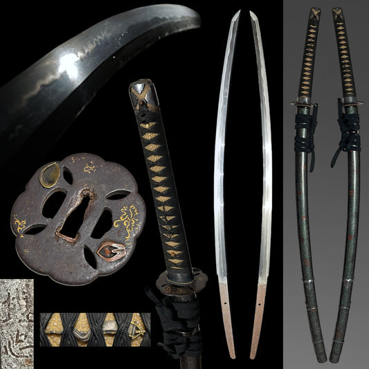 Handachi Koshirae 半太刀拵 KATANA, Umetada 埋忠 signed Tsuba, Aogaichirashi Saya 青貝散鞘