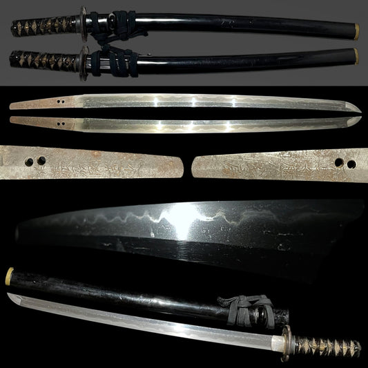Hidanokami Fujiwara Ujifusa 飛騨守藤原氏房 signed Wakizashi, Horsetail Tsuba, Early Edo period