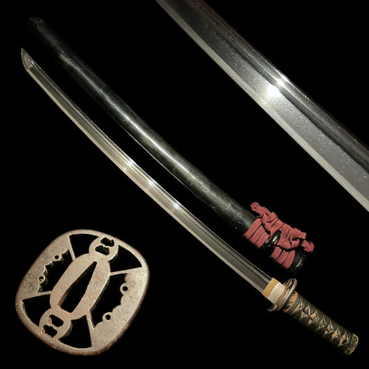 Bohi 棒樋 Long Wakizashi, Iron Sukashi Tsuba, Edo period mumei