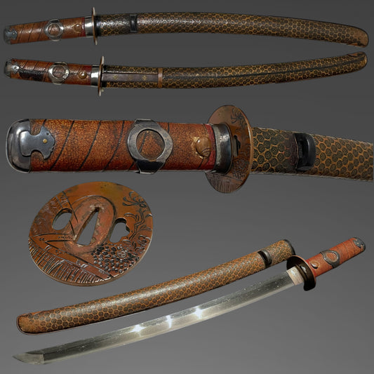 Kawari-Koshirae 変わり拵 Wakizashi, Silver and Copper Fittings, with Kozuka