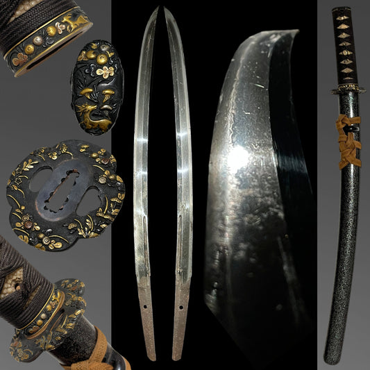 Naginata Naoshi 薙刀直し Wakizashi, Hizenkokuju Tadayoshi 肥前國住忠吉 signed, Mino Fittings