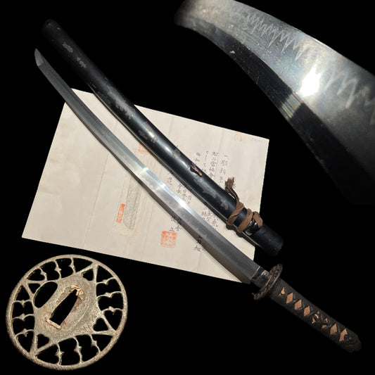 Kashu Kanenori 加州兼則 Long Wakizashi, Edo period, NBTHK Certificate
