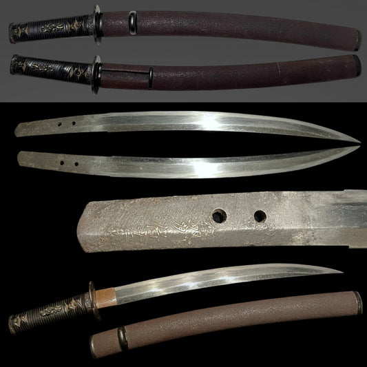 Naginata-Naoshi Style Wakizashi, Chikushuju Sa 筑州住左 signed, Kawamaki Tsuka