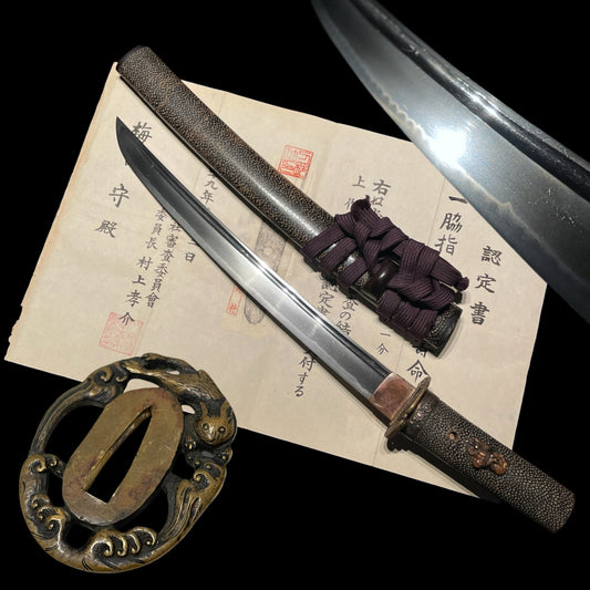 Rayskin Koshirae 鮫皮研出拵, Jumyo 壽命 Wakizashi, Muromachi period, with Shirasaya