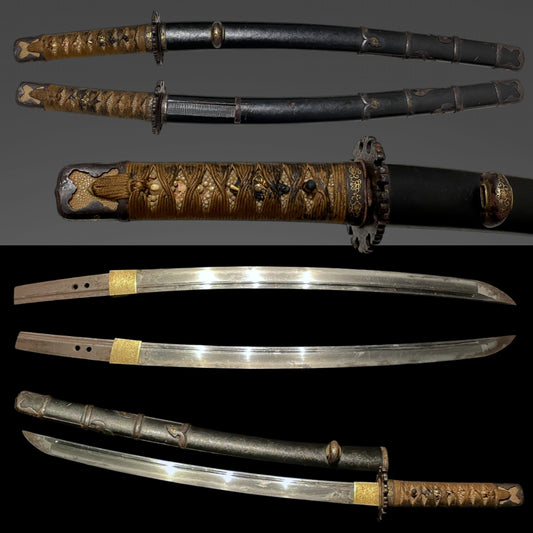 Handachi Koshirae 半太刀拵 Wakizashi, Dragon Menuki, Edo period mumei