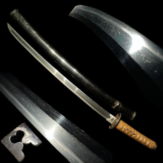 Long Wakizashi, Rare style Silver cover Habaki, Edo period mumei