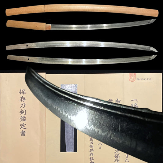Fujishima 藤島 Long Wakizashi, Kashu 加州, Muromachi period, NBTHK Certificate