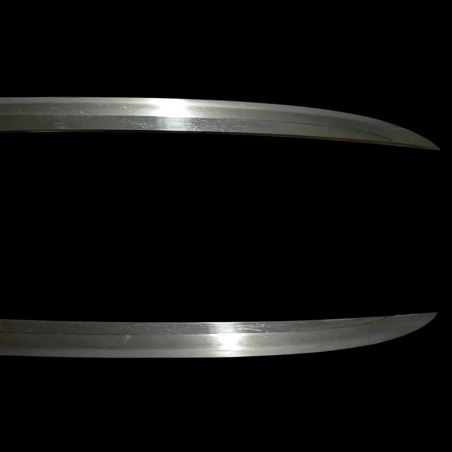 Bell cricket Fuchikashira 鈴虫縁頭, Shobuzukuri Long WAKIZASHI, Edo period mumei