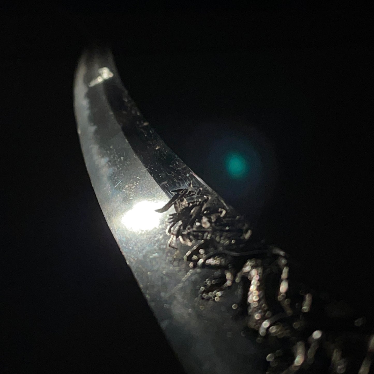 HORIMONO 彫物 KATANA, Tamaoiryu 玉追龍, Bicchukoku Mizutaju Kunishige signed