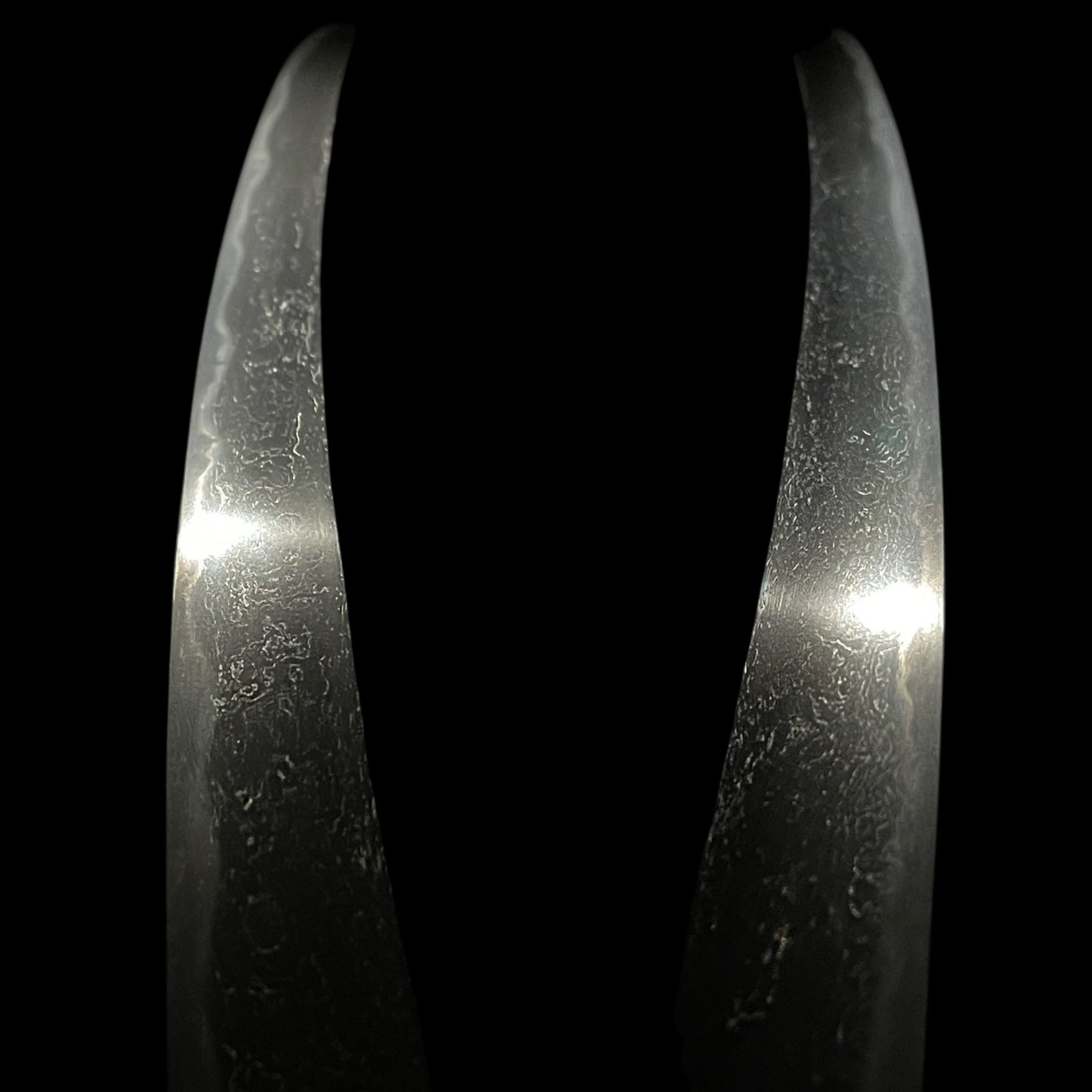 Long Hirazukuri Wakizashi, Echizennokami Minamoto Rai Nobuyoshi signed, Edo period