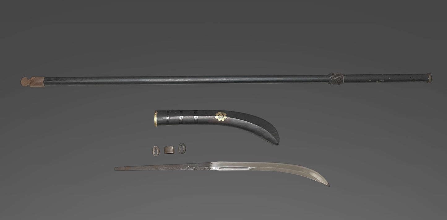 NAGINATA 薙刀 in Koshirae, Iganokami Minamoto Kanemichi 伊賀守源包道 signed, Edo period