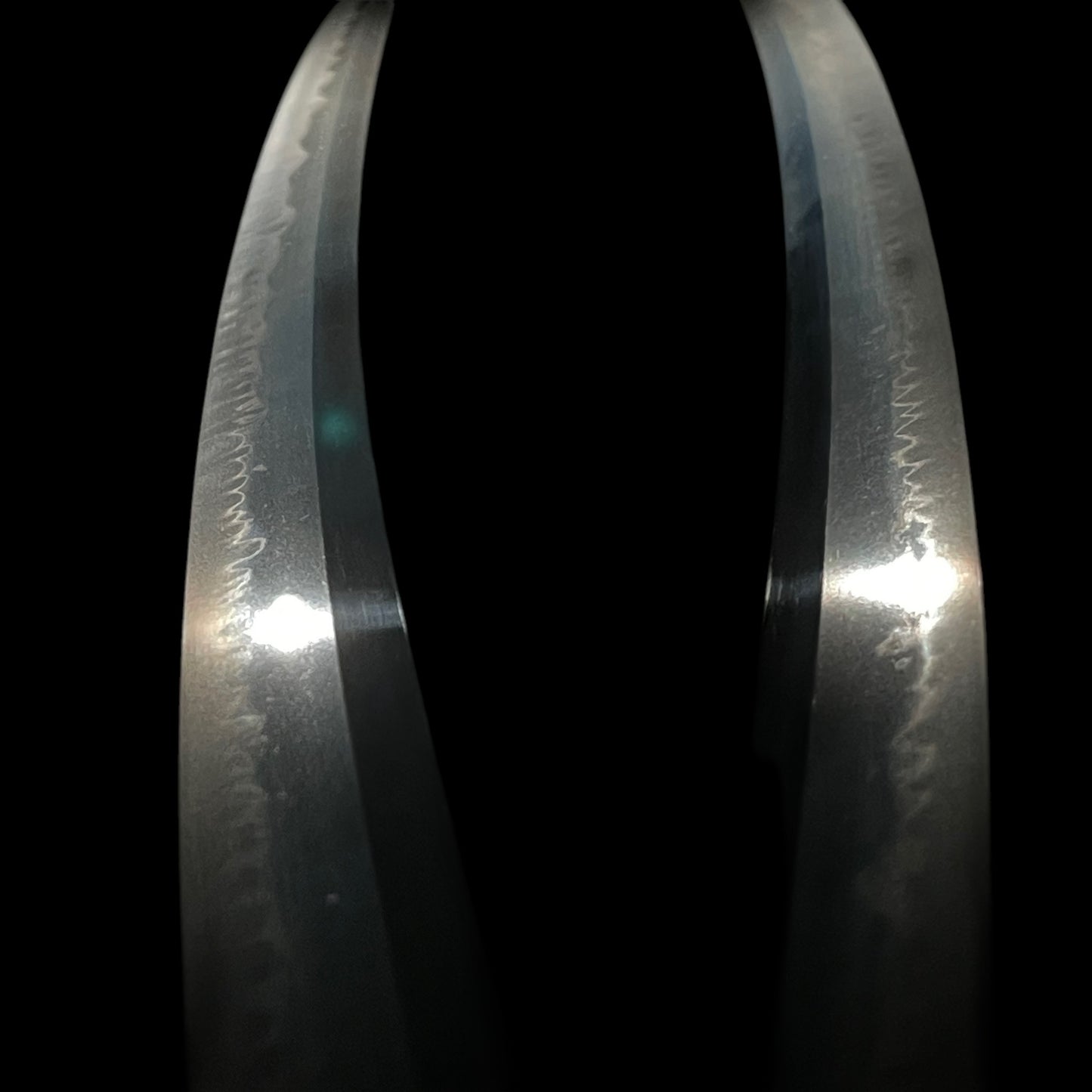 TOKUBESTU HOZON 特別保存 KATANA, Unju Tsunamitsu 運寿綱光 August 1859 signed, Late Edo