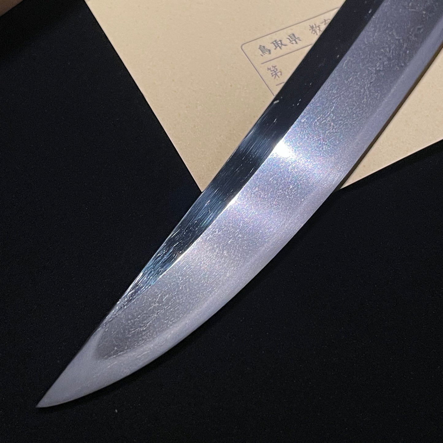 Chikushi Ryokai 筑紫了戒 Shobuzukuri WAKIZASHI 菖蒲造脇差, KOTO Muromachi period