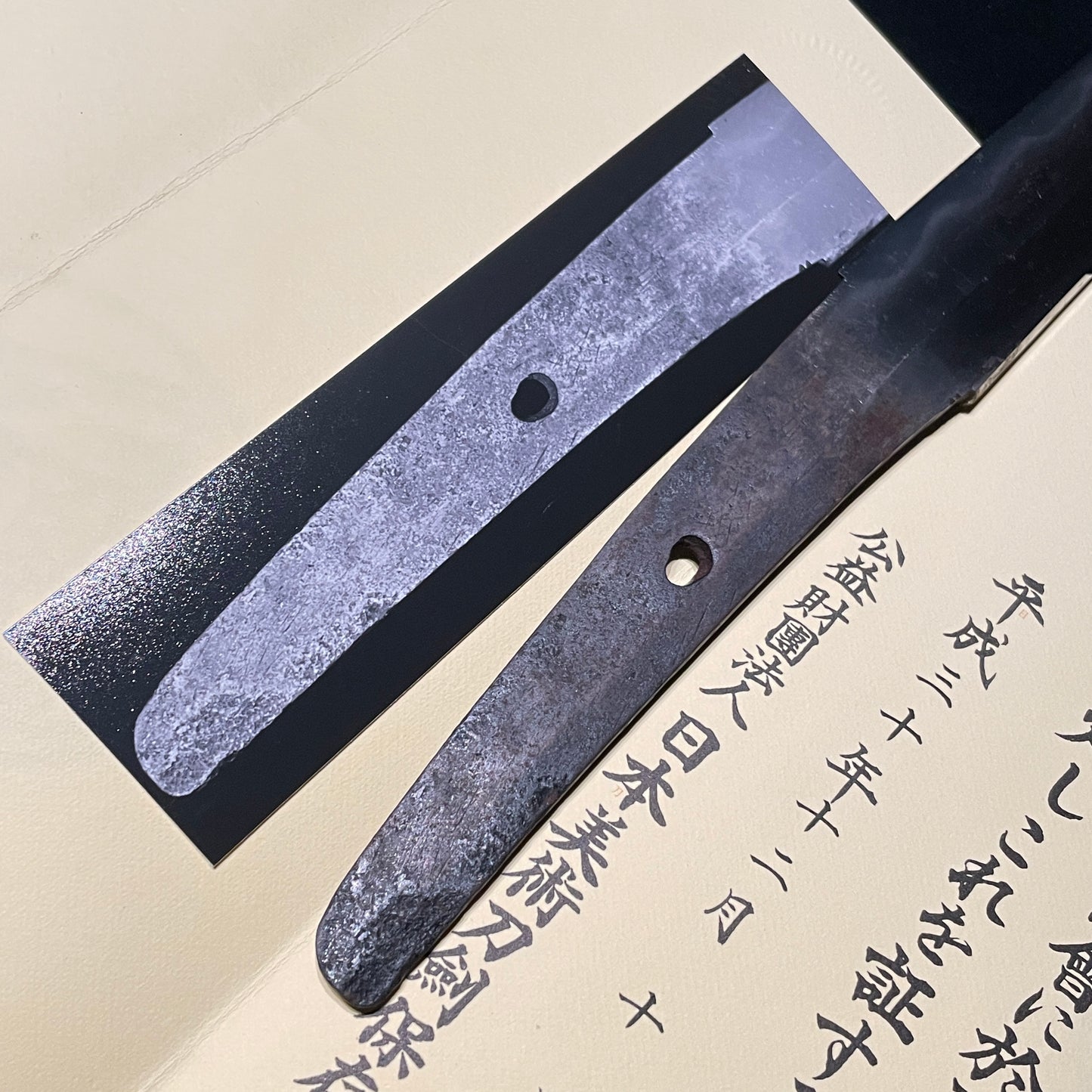 Owari-Seki 尾張関, Matsushiro Koshirae Wakizashi 松代拵脇差, with Kozuka Kogai, Edo period