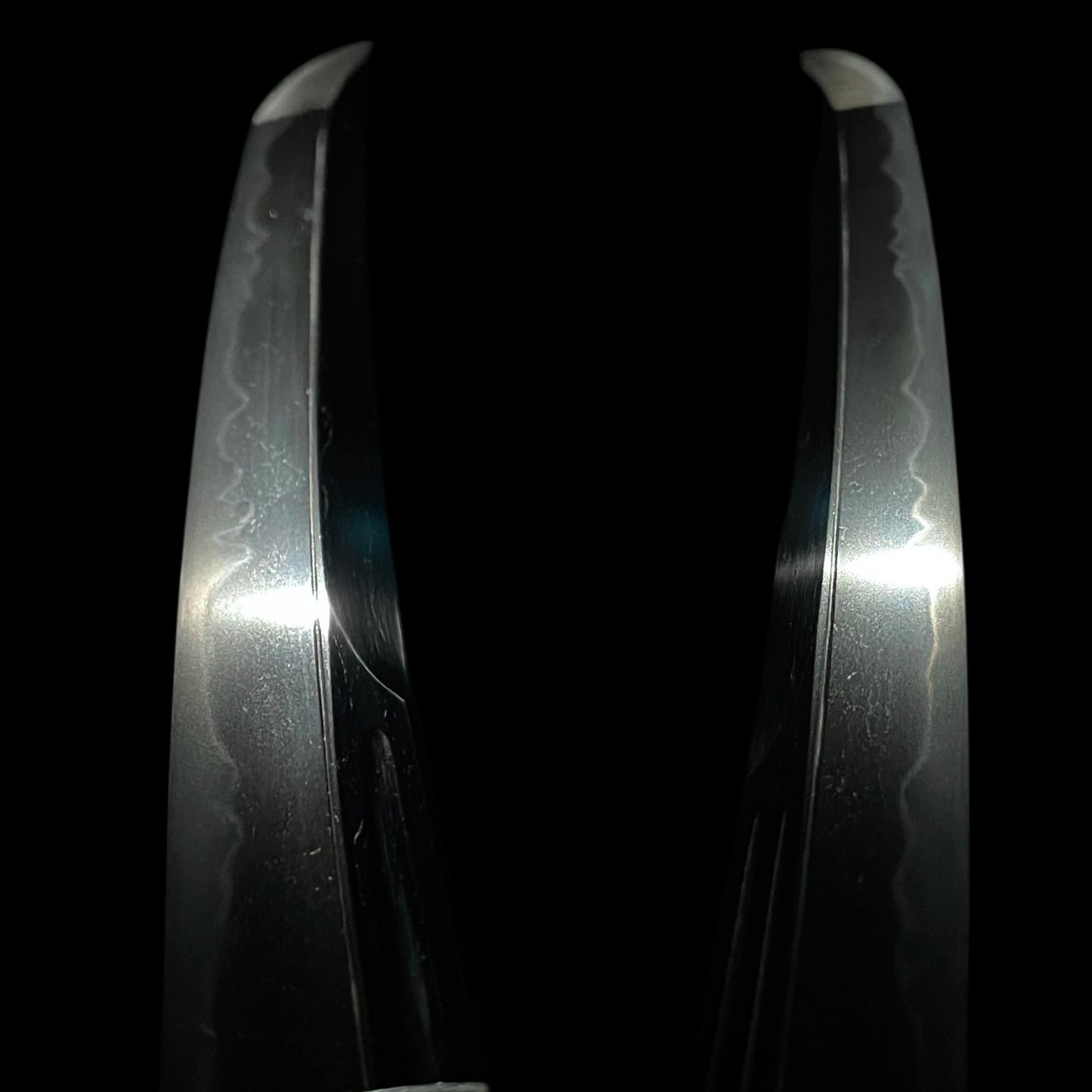 Ookissaki Nagamakinaoshi-Zukuri 長巻直造 Wakizashi, Ecchunokami Takahira signed