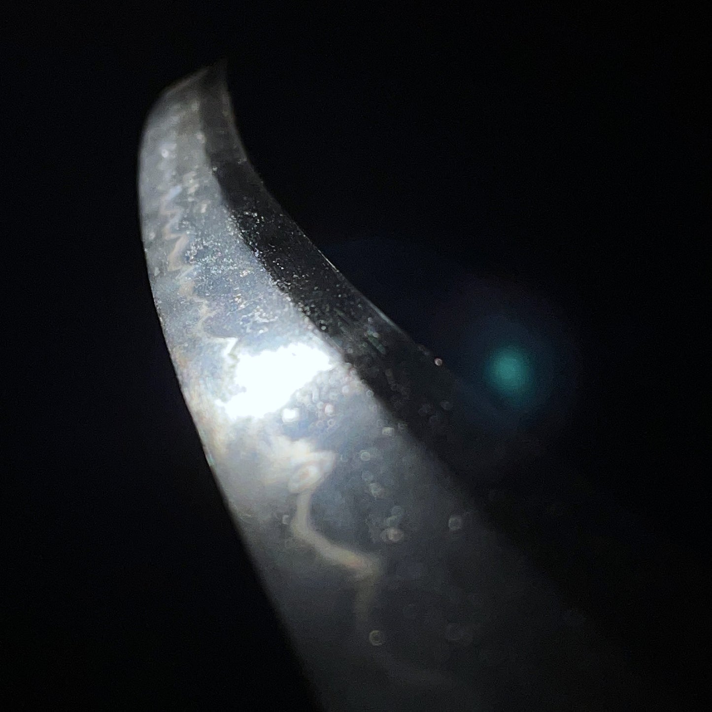 Wakasanokami Ujifusa 若狭守氏房 signed Long WAKIZASHI, with KOZUKA, Muromachi period