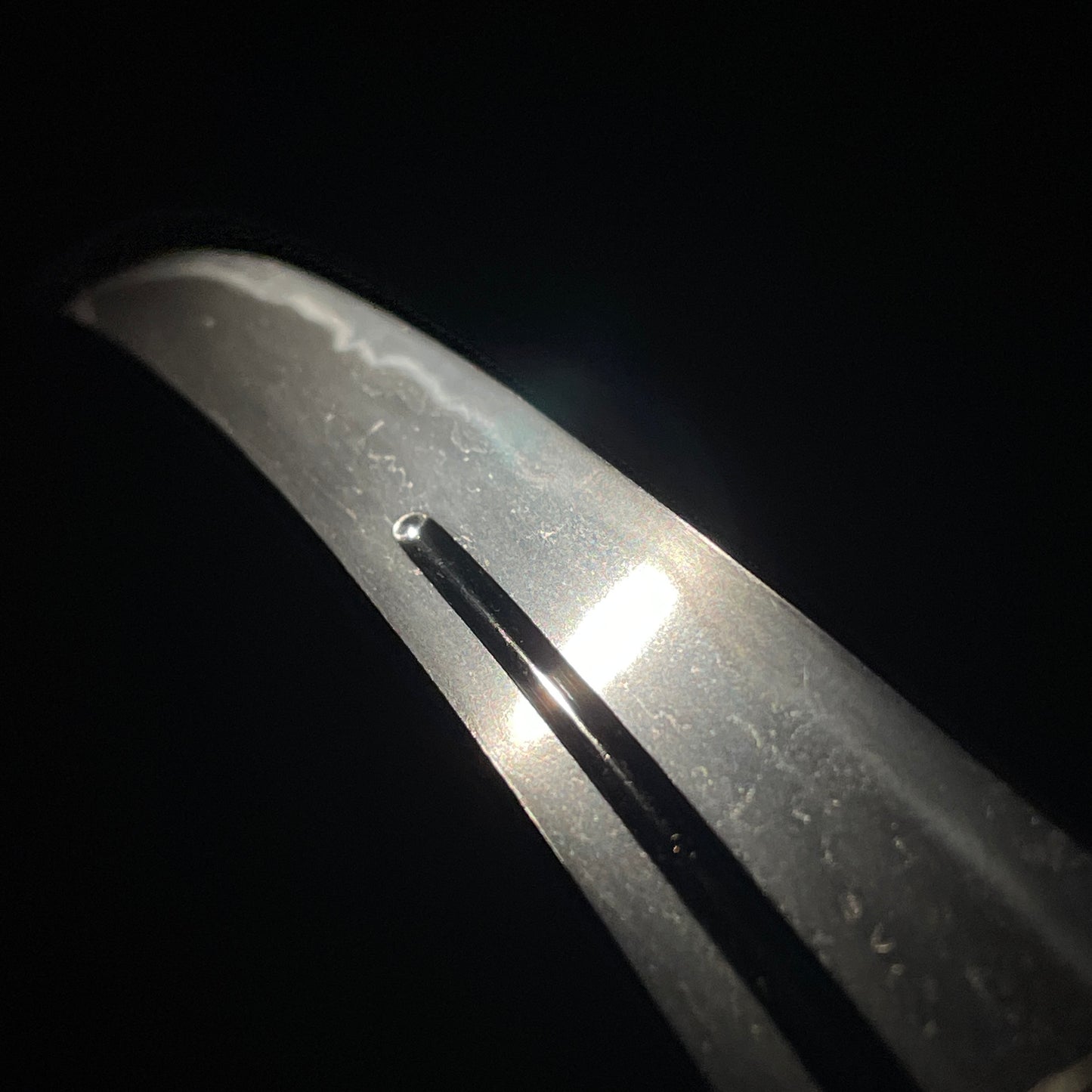 Yamatodaijo Fujiwara Masanori 大和大掾藤原正則 signed Wakizashi, Horse Kozuka, Edo period