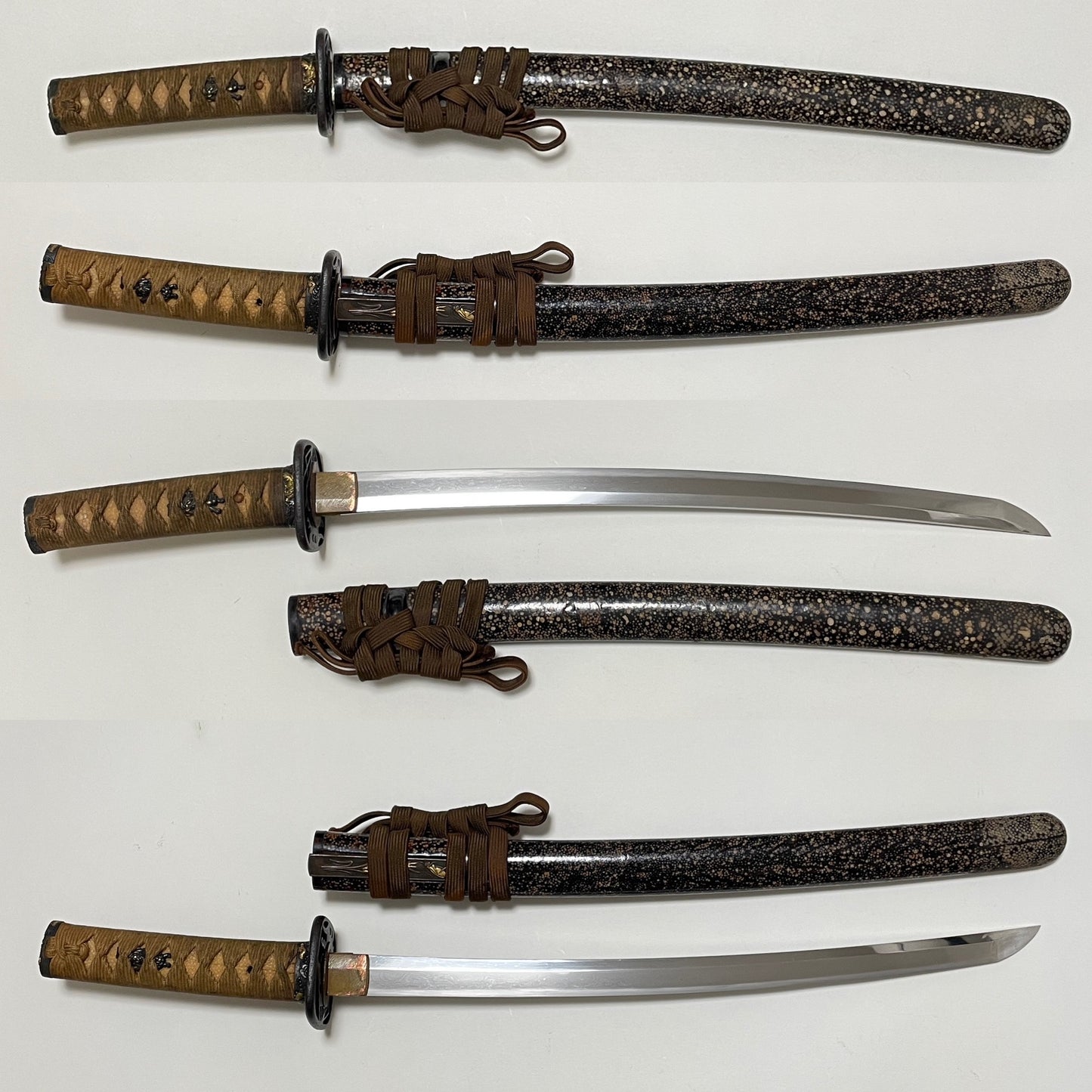 Samesaya-Koshirae 鮫鞘拵 Wakizashi, Oomokumehada, Dragon Fuchikashira, with Kozuka