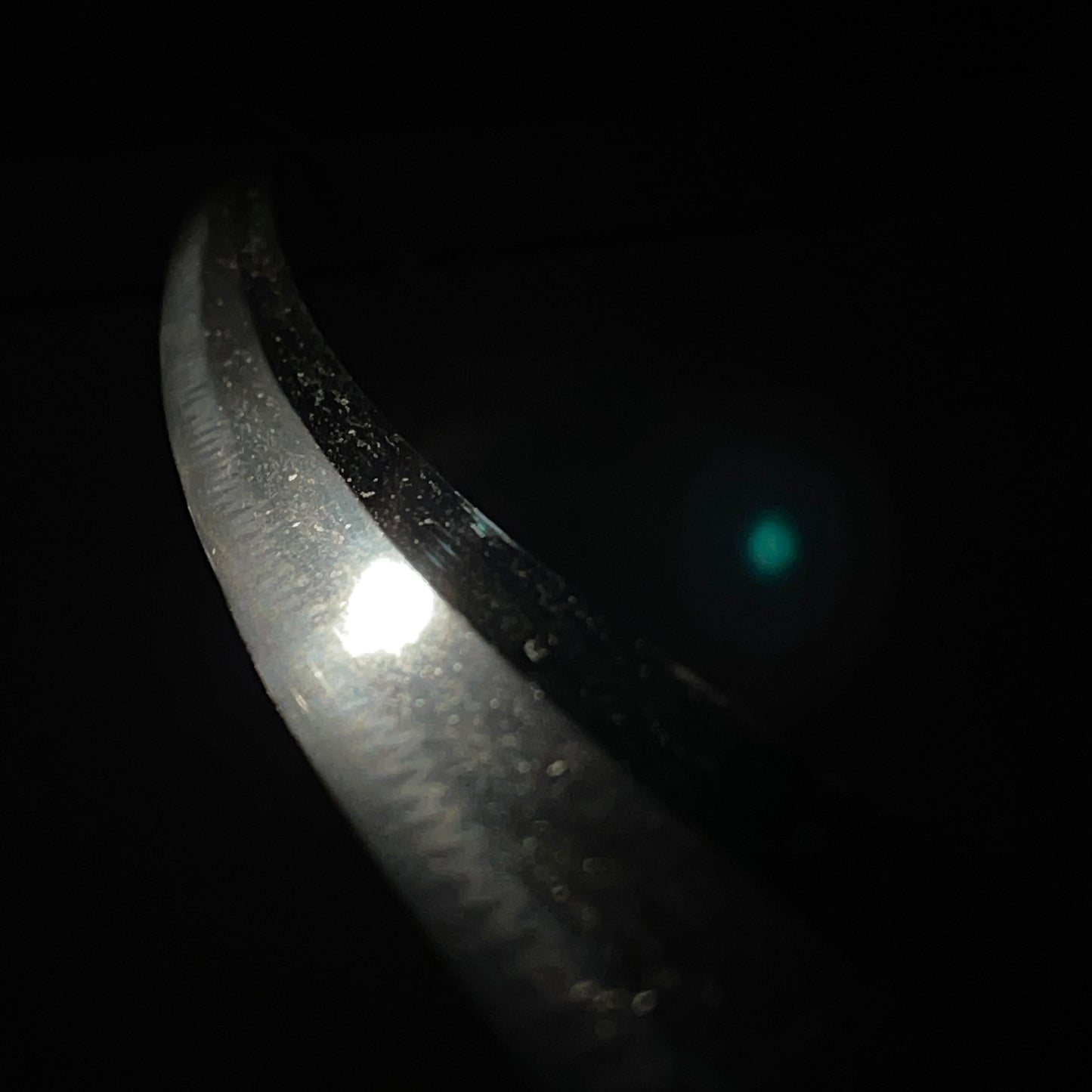 Shinto Jumyo 新刀寿命 KATANA, Nightingale and Plum Blossoms Fuchikashira, with Shirasaya