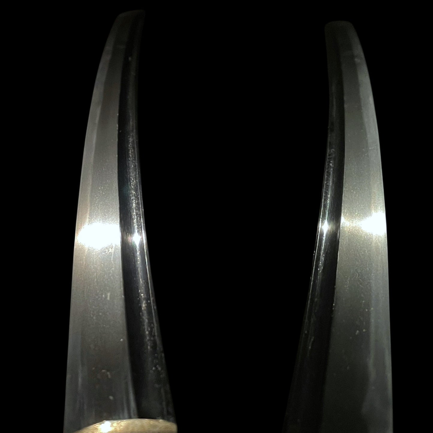Echizenkoku Kanetane 越前國兼植 signed Wakizashi, Plum and Kabuto Tsuba, Edo period