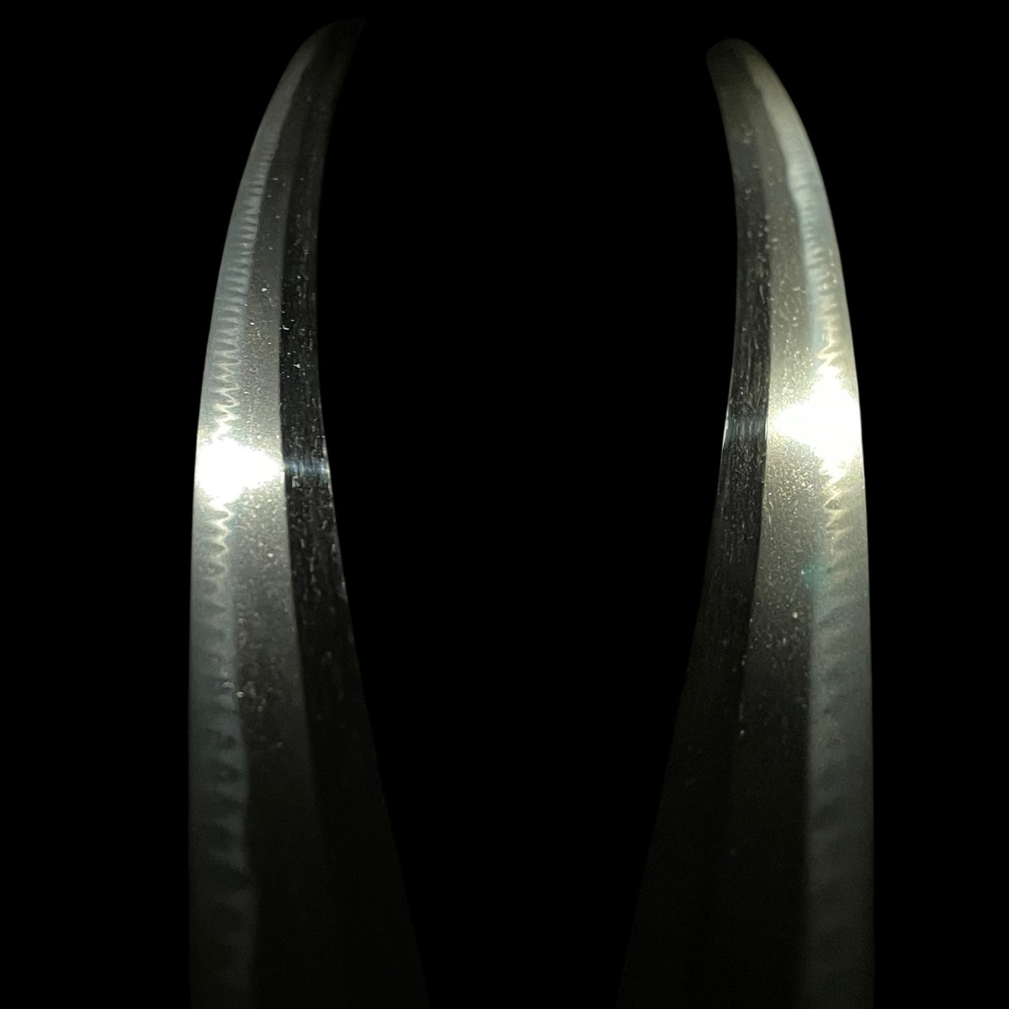 Shinto Jumyo 新刀寿命 KATANA, Nightingale and Plum Blossoms Fuchikashira, with Shirasaya