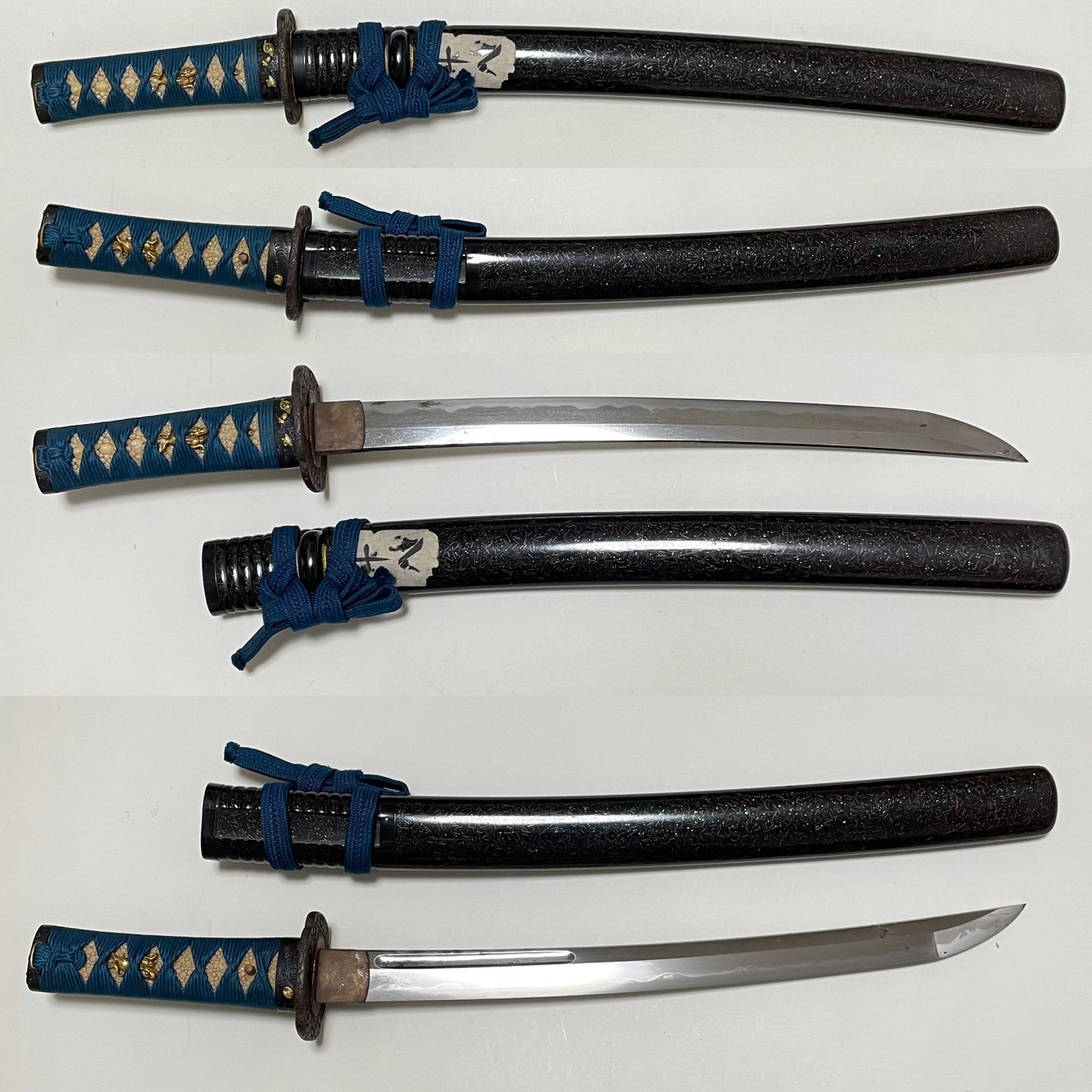 Large Kissaki Wakizashi, Shell Fuchikashira 貝縁頭, Edo period mumei