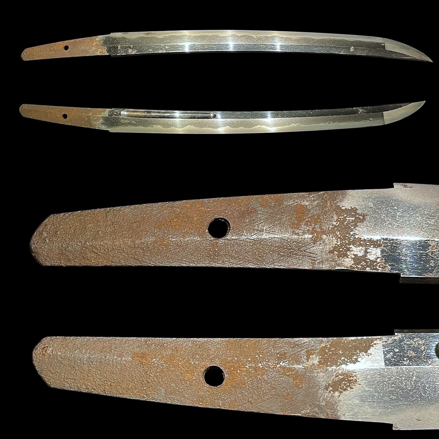 Large Kissaki Wakizashi, Shell Fuchikashira 貝縁頭, Edo period mumei