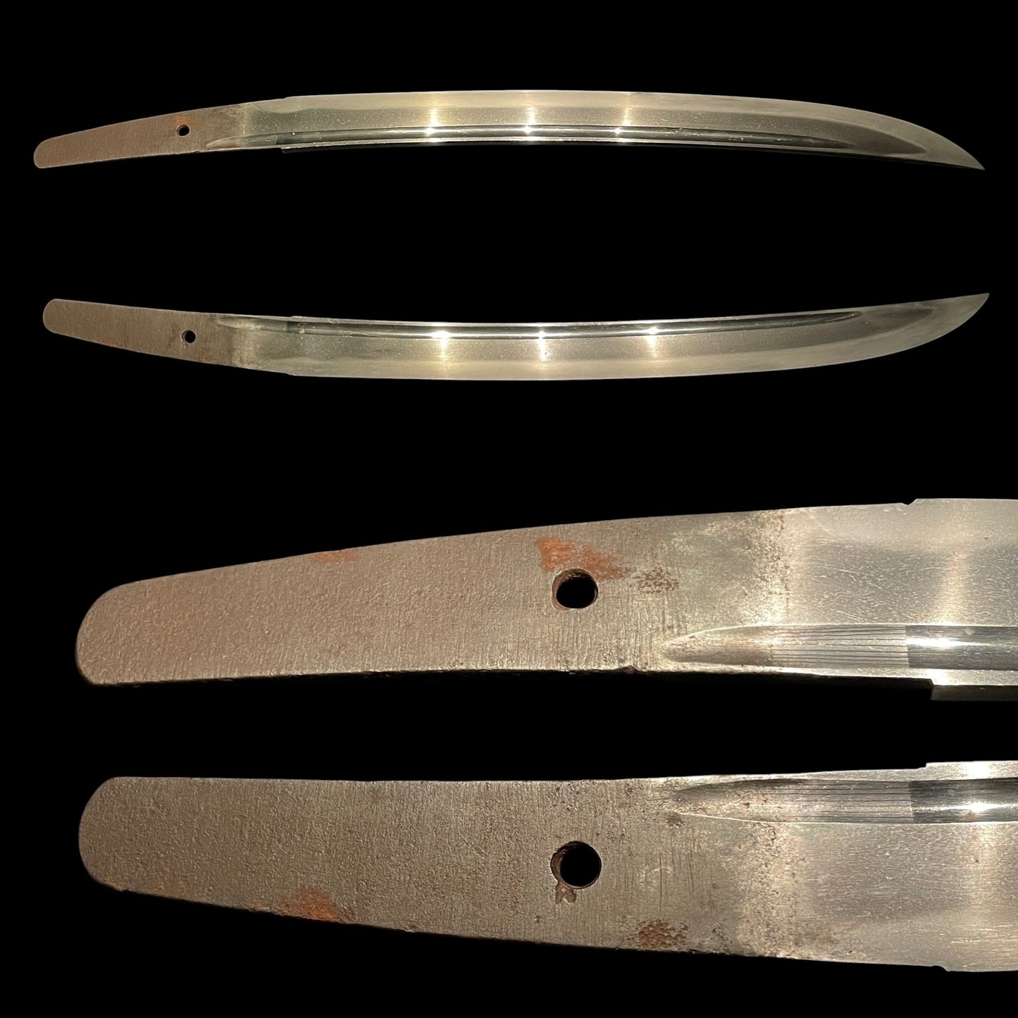 Very Wide Shobuzukuri Wakizashi, Tadayoshi(4gen) 四代忠吉, NBTHK Certificate