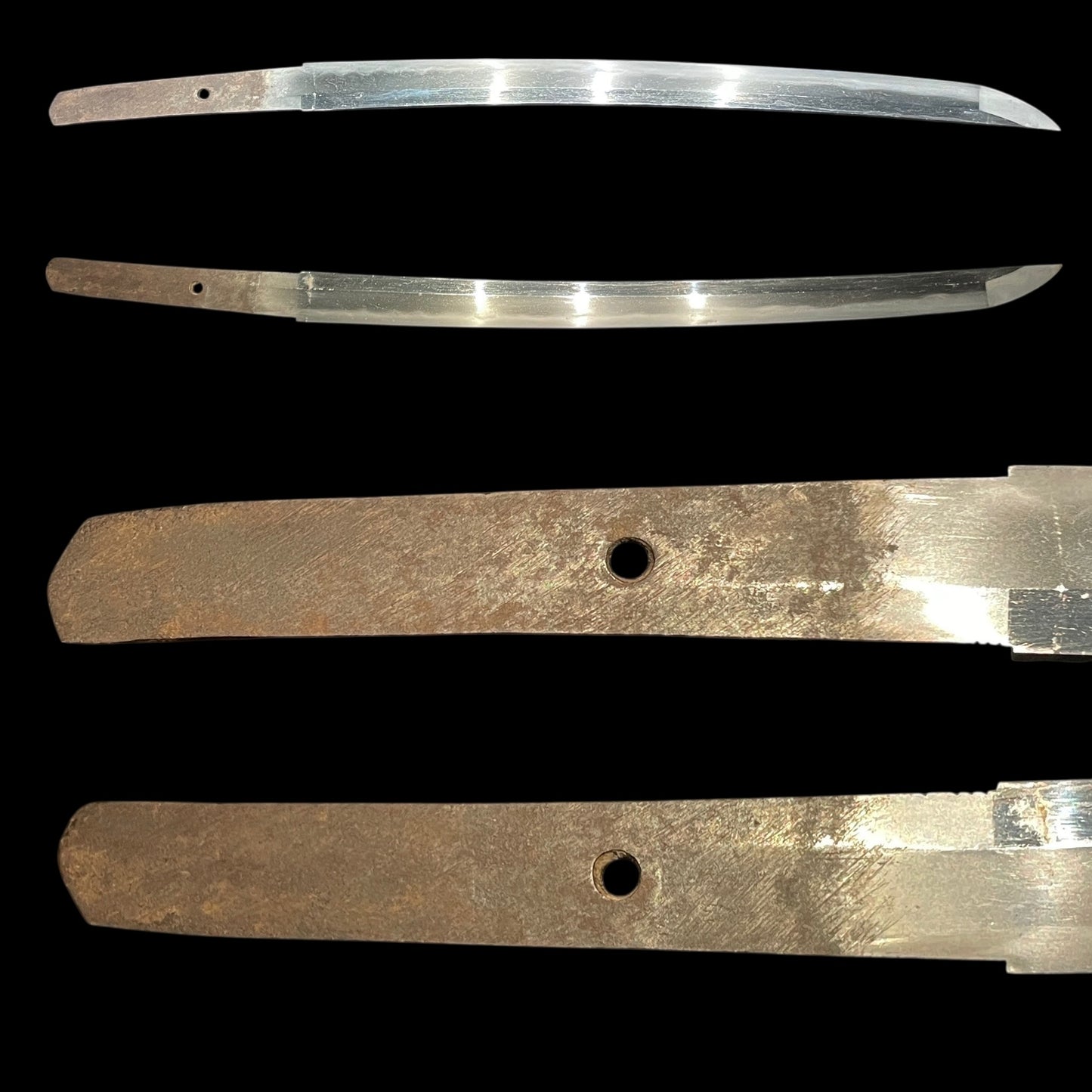 Tiger Menuki Wakizashi with Kozuka, Moon and Geese Fittings, Edo period mumei