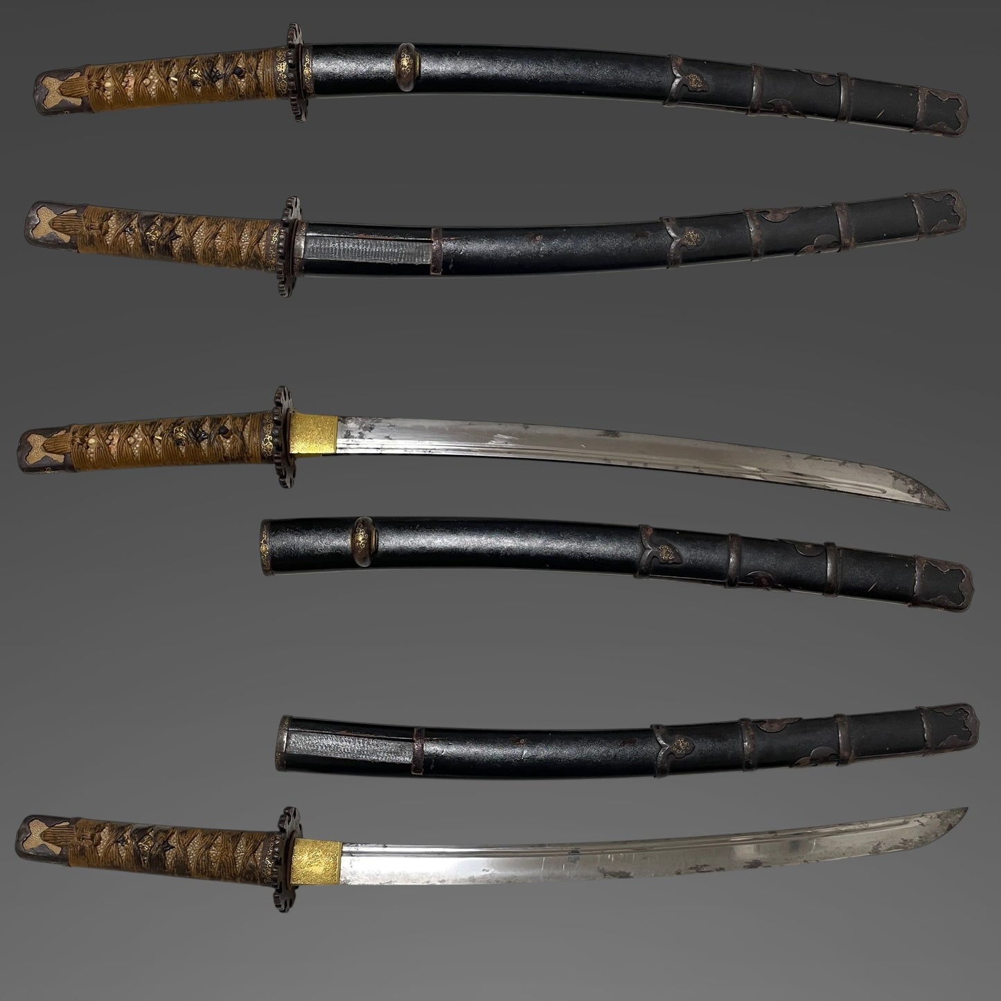 Handachi Koshirae 半太刀拵 Wakizashi, Dragon Menuki, Edo period mumei