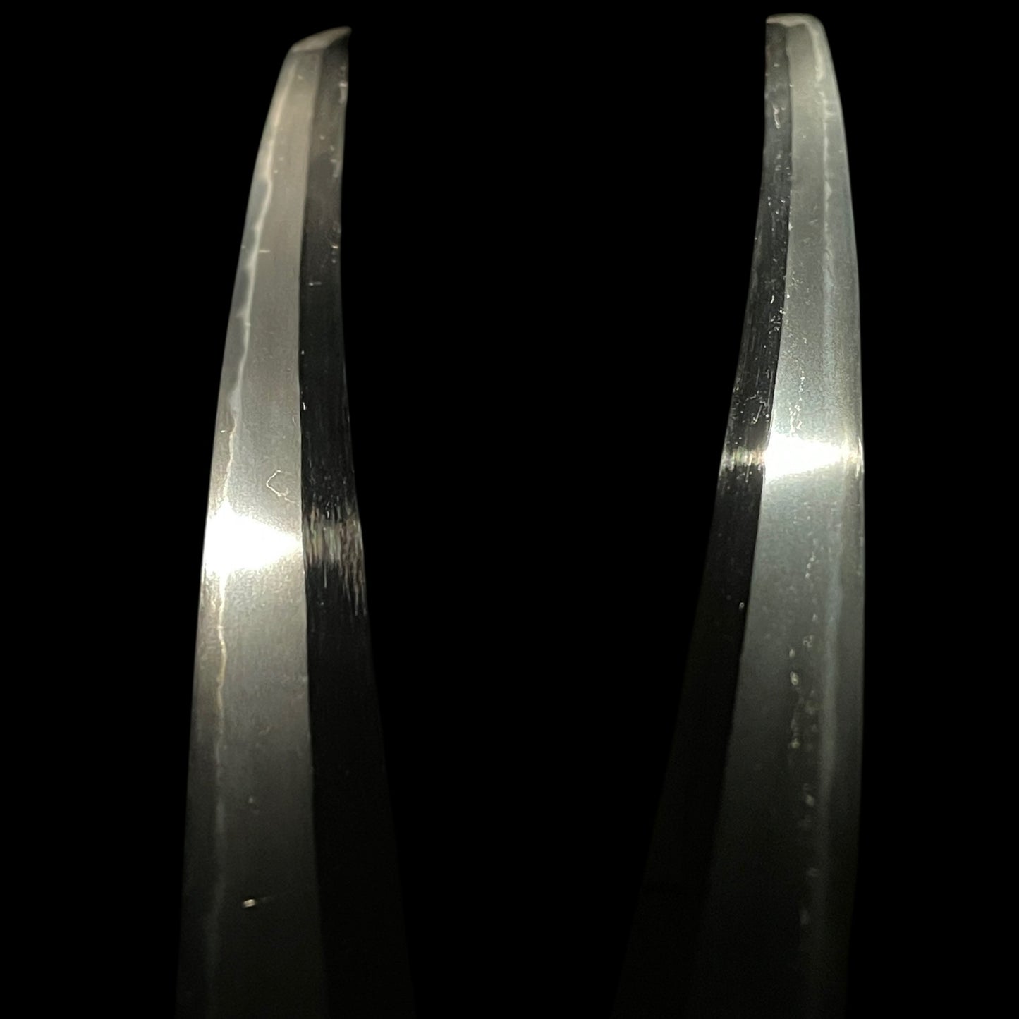 Yamatodaijo Kane 大和大掾兼 signed Wakizashi, Soten-Tsuba 宗典鍔, Edo period