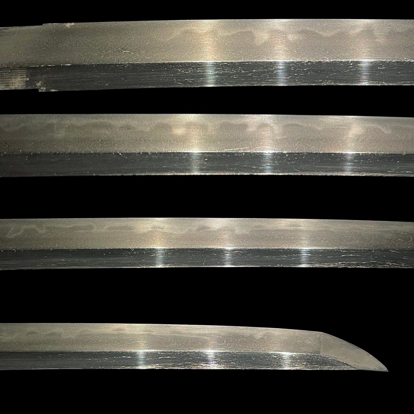 Short Black Wakizashi, Dragon Menuki and Bird Tsuba, Edo period mumei