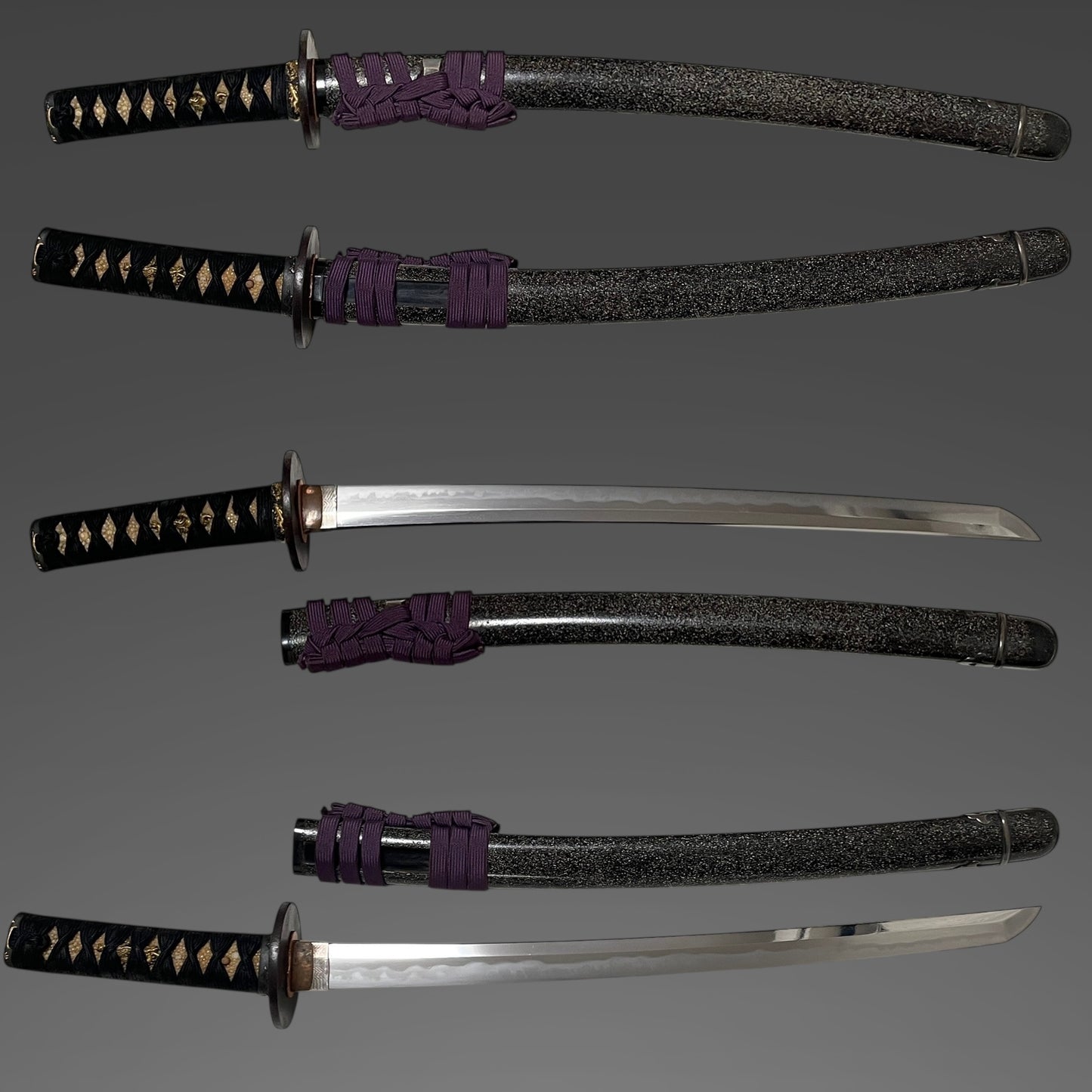 Amazing Hamon, Dragon Fittings Wakizashi, Takada Muneyuki 高田統行, Early Edo period