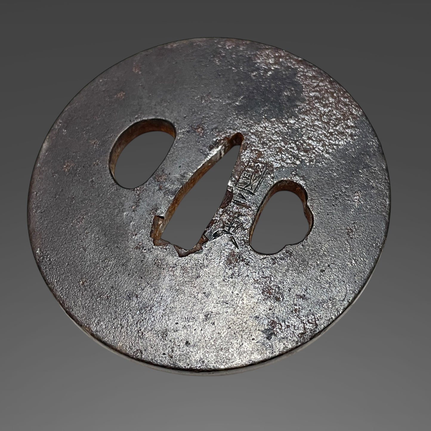 Amazing Hamon, Dragon Fittings Wakizashi, Takada Muneyuki 高田統行, Early Edo period