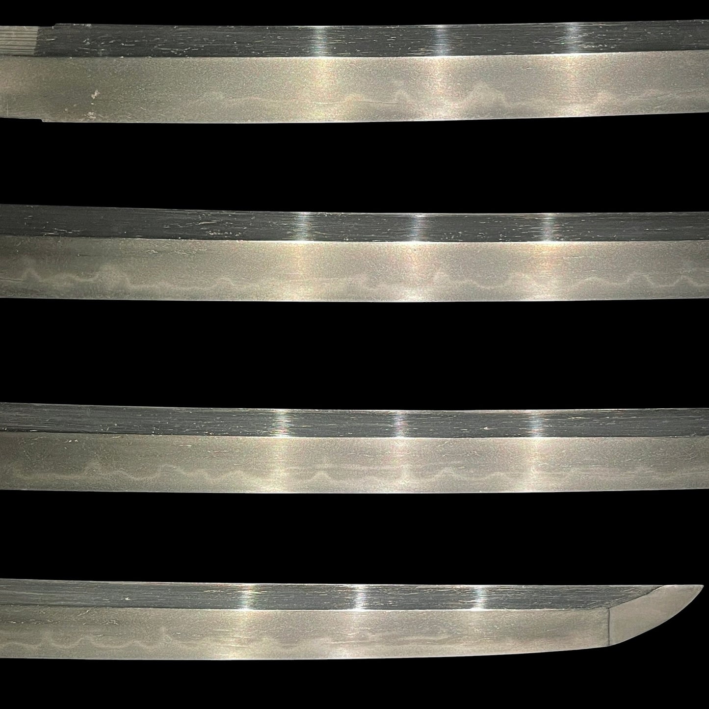 Short Black Wakizashi, Dragon Menuki and Bird Tsuba, Edo period mumei